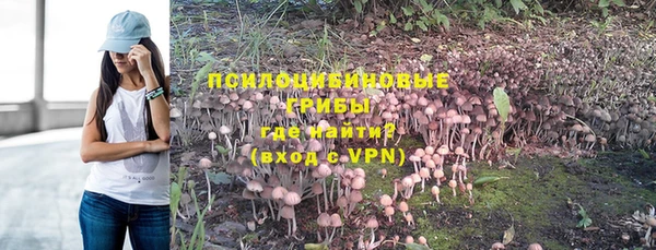 эйфоретик Каменка
